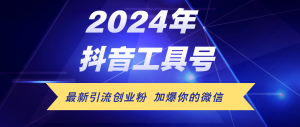 (12149期)24年抖音最新工具号日引流300+创业粉,日入5000+-川川创富网