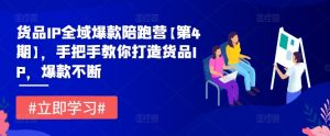 货品IP全域爆款陪跑营【第4期】,手把手教你打造货品IP,爆款不断-川川创富网