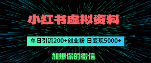 （12164期）小红书虚拟资料日引流200+创业粉，单日变现5000+-川川创富网