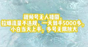 (12166期)视频号无人播剧,拉爆流量不违规,一天到手5000多,小白当天上手,多号…-川川创富网