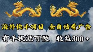 (12175期)海外快手项目,利用工具全自动看广告,每天轻松 300+-川川创富网