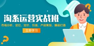 (12186期)淘系运营实战班:市场分析、定位、定价、引流、产品策划,爆品打造-川川创富网