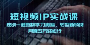 (12193期)短视频 IP实战课,独创一键复制学习秘籍,转战新领域,月赚五万轻松行-川川创富网