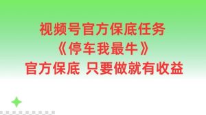 视频号官方保底任务，停车我最牛，官方保底只要做就有收益【揭秘】-川川创富网