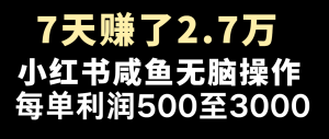 七天赚了2.7万!每单利润最少500+,轻松月入5万+小白有手就行-川川创富网