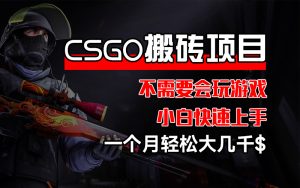 （12332期）CSGO 装备搬砖项目，操作简单，不需要会玩游戏，小白也能快速上手，一…-川川创富网