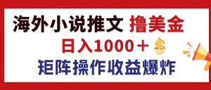 （12333期）最新海外小说推文撸美金，日入1000＋ 蓝海市场，矩阵放大收益爆炸-川川创富网