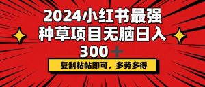 （12336期）2024小红书最强种草项目，无脑日入300+，复制粘帖即可，多劳多得-川川创富网