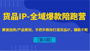 货品IP-全域爆款陪跑营【第4期】赛道选择/产品策划，手把手教你打造货品IP，爆款不断-川川创富网