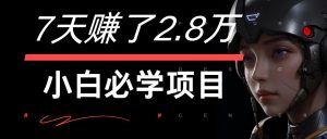 7天赚了2.8万!每单利润最少500+,轻松月入7万+小白有手就行-川川创富网
