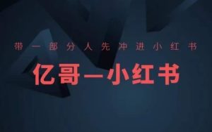带一部分人先冲进小红书,小红书开店、选品、爆款裂变-川川创富网