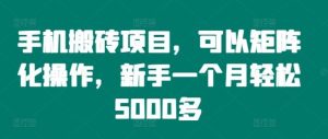 手机搬砖项目,可以矩阵化操作,新手一个月轻松5000多-川川创富网