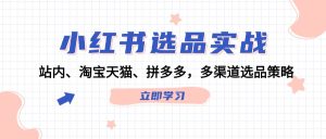 小红书选品实战:站内、淘宝天猫、拼多多,多渠道选品策略-川川创富网