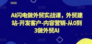 AI闪电做外贸实战课,外贸建站-开发客户-内容营销-从0到3做外贸AI(更新)-川川创富网