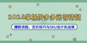 2024掌握拼多多运营精髓:爆款流程、定价技巧与SKU设计实战课-川川创富网