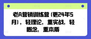 老A营销训练营(更24年9月),轻理论,重实战,轻概念,重本质-川川创富网