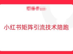 小红书矩阵引流技术,教大家玩转小红书流量-川川创富网