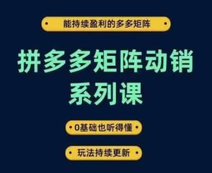 拼多多矩阵动销系列课,能持续盈利的多多矩阵,0基础也听得懂,玩法持续更新-川川创富网