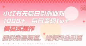 小红书无脑每日引流创业粉500+，小白每天只花半小时，躺赚长尾收益【揭秘】-川川创富网