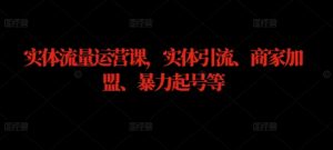 实体流量运营课,实体引流、商家加盟、暴力起号等-川川创富网