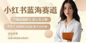小红书蓝海赛道,圈中高端职场人,月入无上限,可矩阵,内含私域实操教程!-川川创富网