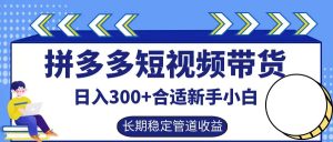 拼多多短视频带货日入300+,实操账户展示看就能学会-川川创富网