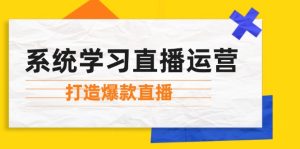 （12802期）系统学习直播运营：掌握起号方法、主播能力、小店随心推，打造爆款直播-川川创富网