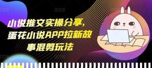小说推文实操分享，蛋花小说APP拉新故事混剪玩法-川川创富网