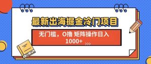 (13672期)最新出海掘金冷门项目,单号日入1000+-川川创富网