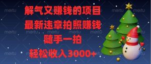 （13686期）解气又赚钱的项目，最新违章拍照赚钱，随手一拍，轻松收入3000+-川川创富网