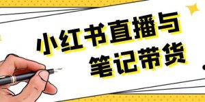 小红书直播与笔记带货:选品、上架、笔记写作、视频剪辑及直播话术等-川川创富网