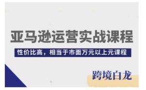 亚马逊运营实战课程,亚马逊从入门到精通,性价比高,相当于市面万元以上元课程-川川创富网