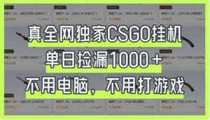 真全网独家CSGO挂机，单日捡漏1000+，不用电脑，不用养号-川川创富网