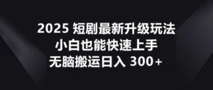 2025短剧最新升级玩法,小白也能快速上手,无脑搬运日入300+-川川创富网