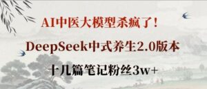 AI中医大模型杀疯了！DeepSeek中式养生2.0版本，十几篇笔记粉丝3w+-川川创富网