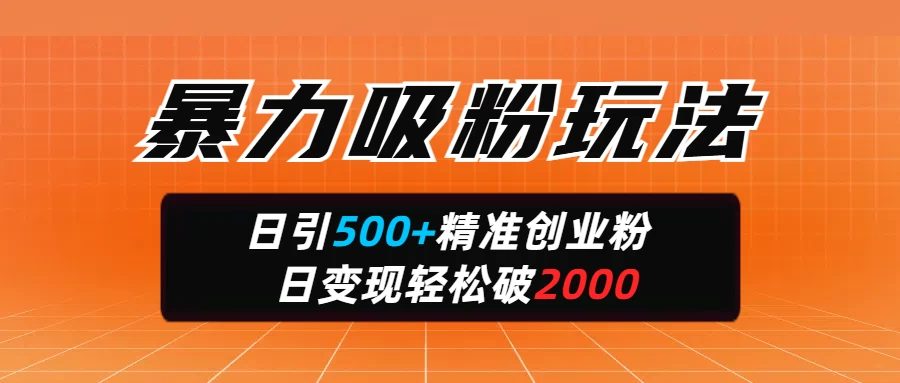 暴力吸粉玩法，日引500+精准创业粉，日变现轻松破2000-川川创富网