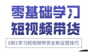 快手运营+高阶剪辑实战课,0到1学习短视频带货全新运营技巧-川川创富网