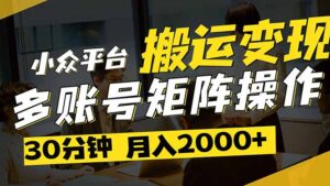 得物平台变现新蓝海！无脑复制热门视频，多账号同步运营，每天半小时躺…-川川创富网