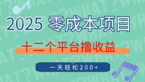 2025年零成本项目，十二个平台撸收益，单号一天轻松200+-川川创富网