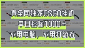 真全网独家CSGO挂G，单日捡漏1k+【揭秘】-川川创富网