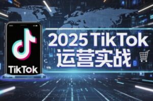 2025TikTok电商运营,掌握TikTok店铺运营核心技巧,实现低成本高转化-川川创富网