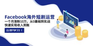 Facebook海外短剧运营：一个月涨粉10万，从0基础到实战，快速实现收入到账-川川创富网