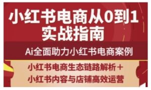 2025小红书电商全链路运营,Ai全面助力小红书电商案例-川川创富网