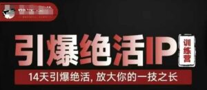引爆绝活IP训练营,14天引爆绝活,放大你的一技之长-川川创富网