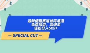 【轻云】最新情趣赛道首码渠道，免费加盟，高佣金，轻松日入5张+-川川创富网