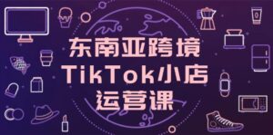 东南亚跨境TikTok小店运营课,掌握店铺设置与流量转化核心技巧-川川创富网