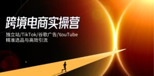 跨境电商实操营：独立站/TikTok/谷歌广告/YouTube，精准选品与高效引流-川川创富网