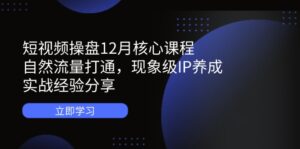 短视频操盘12月核心课程：自然流量打通，现象级IP养成，实战经验分享-川川创富网