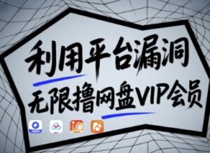利用平台漏洞,无限撸网盘VIP会员,用户亲测有效!【漏洞原理+操作演示】-川川创富网