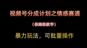 视频号分成计划之情感赛道暴力玩法，可批量操作，保姆级教学-川川创富网